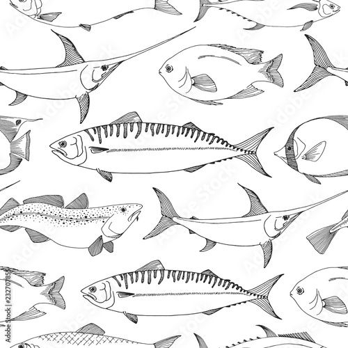 Seamless pattern with different fishes. Sketch vector illustration