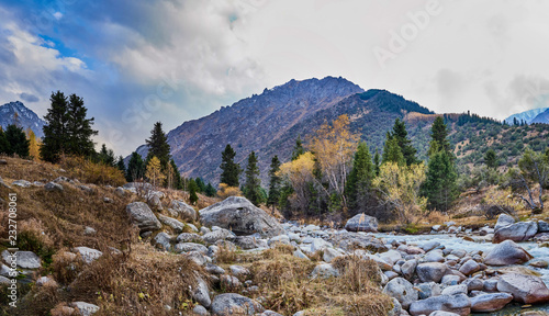 mountain river with large stones in the background of the mountains with various trees and dry grass