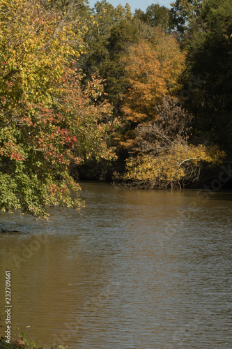 lake in autumn