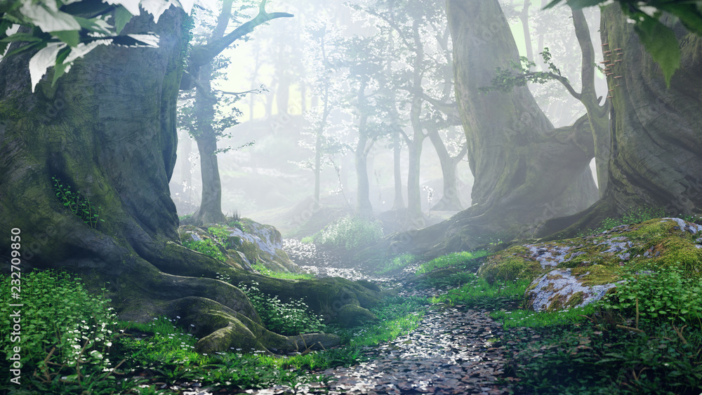 Naklejka premium ścieżka przez magiczny las o wschodzie słońca, tajemnicze stare drzewa, krajobraz fantasy