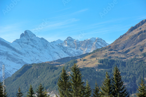 Swiss Alps 101