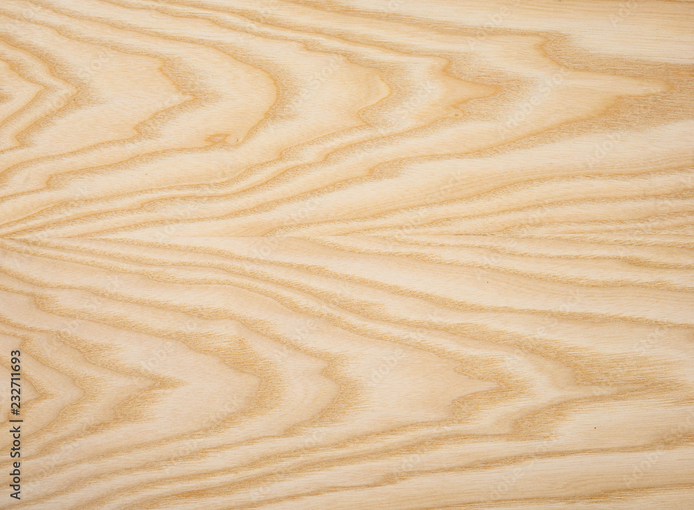 Wood texture of white ash tangential veneer close-up Wood texture of white ash tangential veneer close-up