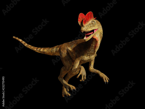 Dilophosaurus, theropod dinosaur from the Early Jurassic period (3d illustration isolated on black background) © dottedyeti