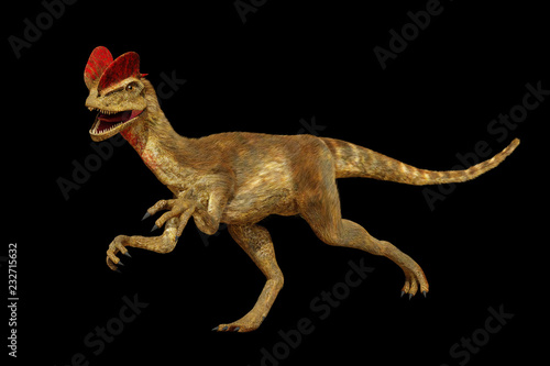 Dilophosaurus, theropod dinosaur from the Early Jurassic period (3d render isolated on black background) © dottedyeti