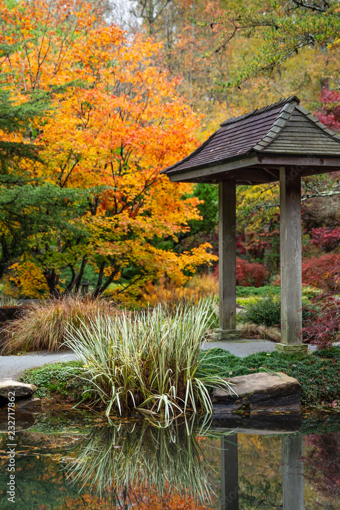 Japanese pagoda and grasses reflecting in the pond with colorful trees in the background in autumn. Japanese pagoda and grasses reflecting in the pond with colorful trees in the background in autumn.