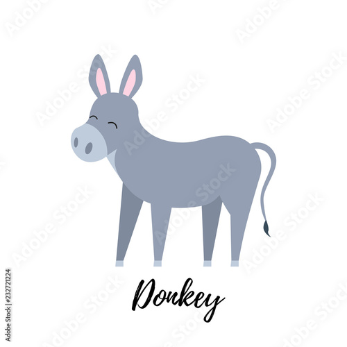 Cute foal isolated. Domestic donkey kid vector illustration