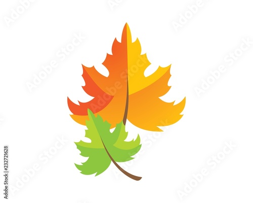 autumn logo vecto