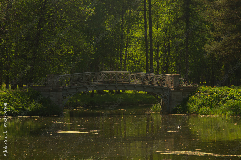 Bridge in the forest. Nature landscape with small river