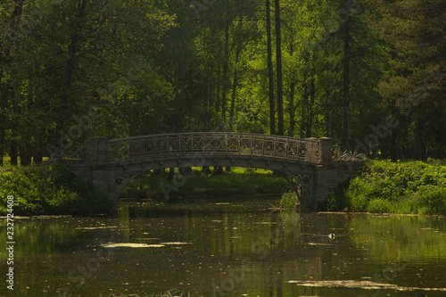 Bridge in the forest. Nature landscape with small river