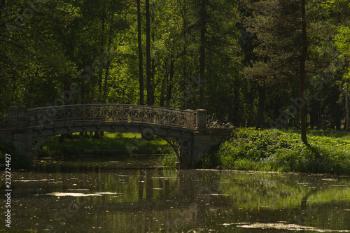 Bridge in the forest. Nature landscape with small river