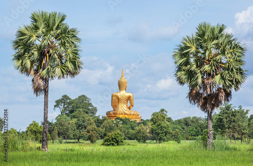back of big golden buddha statue sitting at thai temple with rice field      