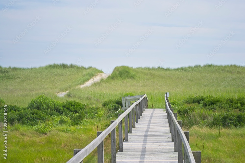 Walkway to the Beach