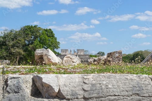 Grass And Ruins