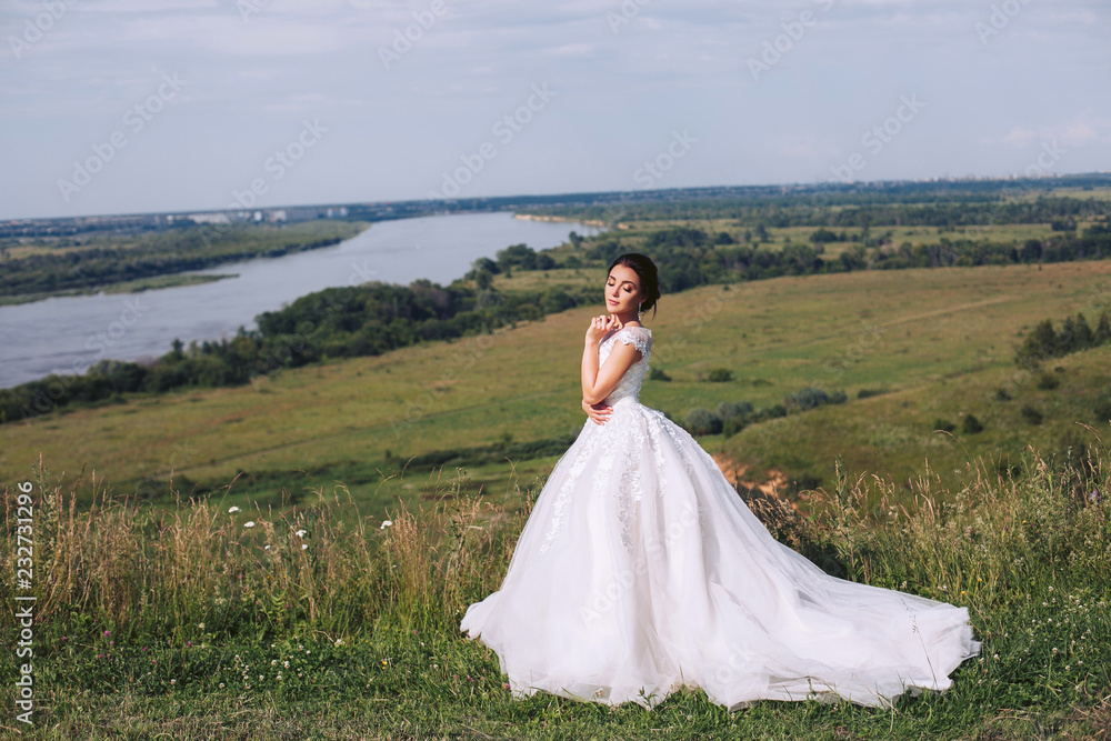 Wedding party. Bride posing against a beautiful landscape in a white dress