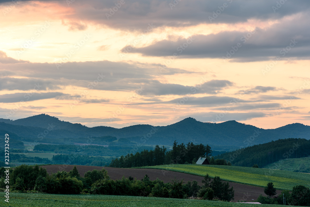 Fototapeta premium 北海道美瑛の風景