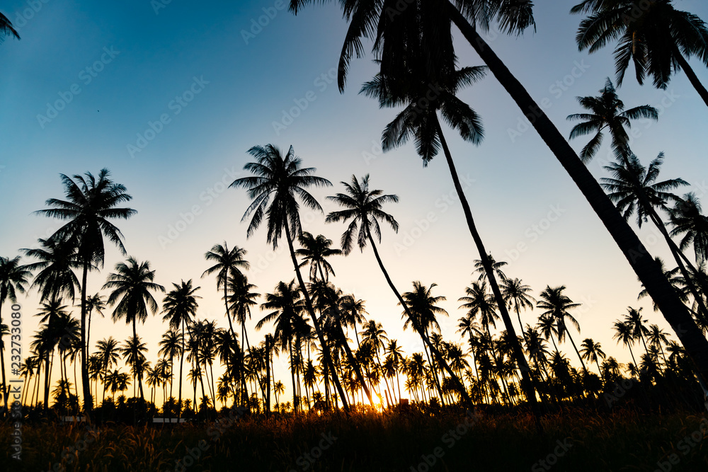 Obraz premium Silhouette coconut palm trees with sunset.