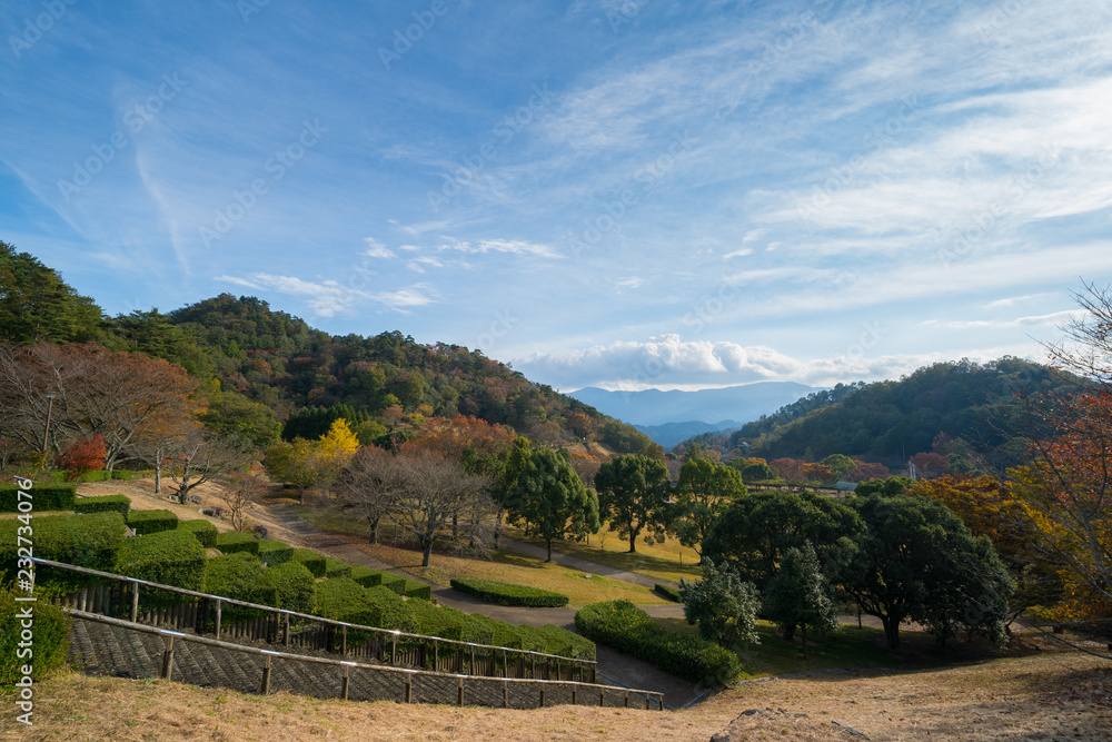 紅葉　徳島県立神山森林公園イルローザの森