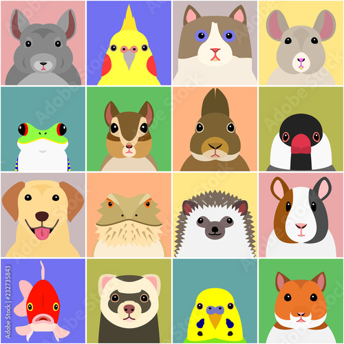 set of various pet animals face