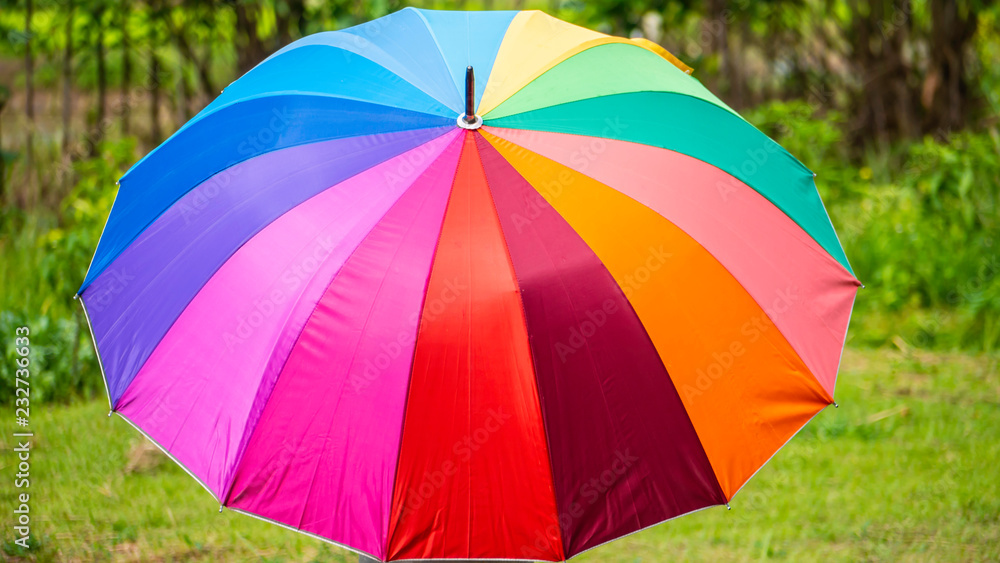 multicolor umbrella in the nature