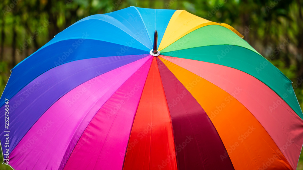 multicolor umbrella in the park