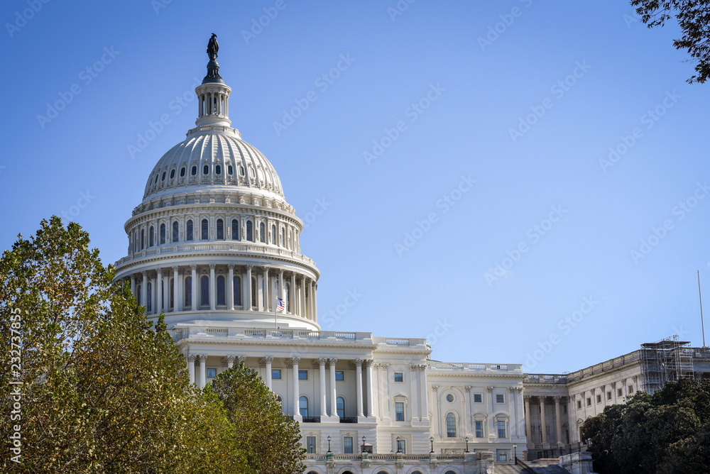 Obraz premium Capitol building in Washington dc, United States of America