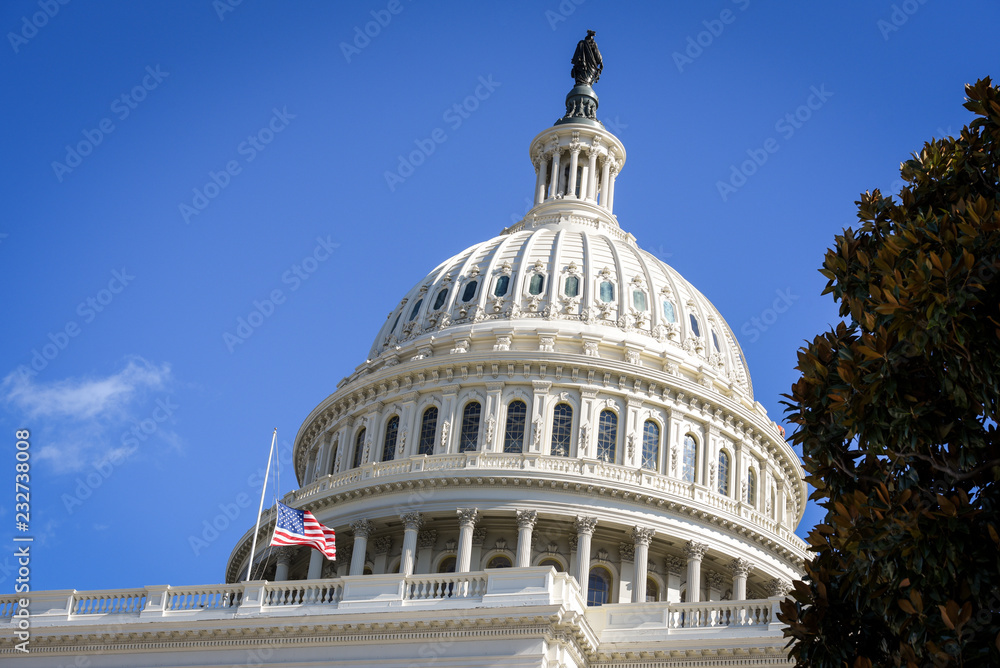 US Capitol Building with a flag on a half staff
