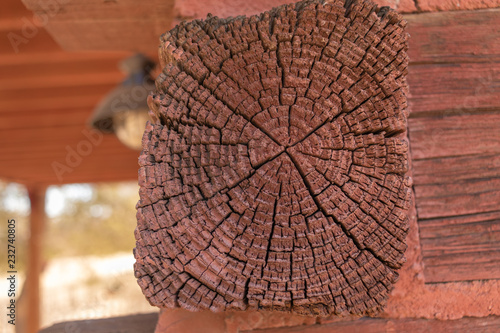 Deep Cracked End Grain Old Wooden Beam