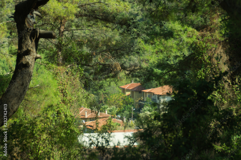 Houses in mountain forest background. through the foliage view Houses in mountain forest background. through the foliage view