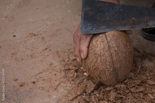 Wallpaper Mural Close up of coconut Torontodigital.ca