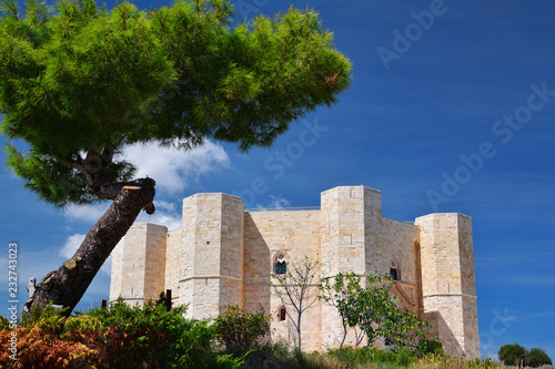 Foto Castel del Monte in Apulien