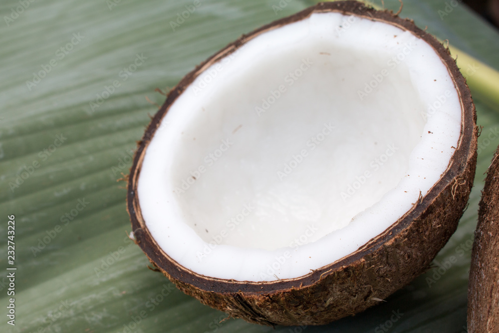 Close up of coconut on green background Close up of coconut on green background