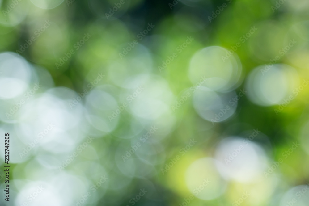Natural green gradient light and blurred effect image design for presentation background Natural green gradient light and blurred effect image design for presentation background