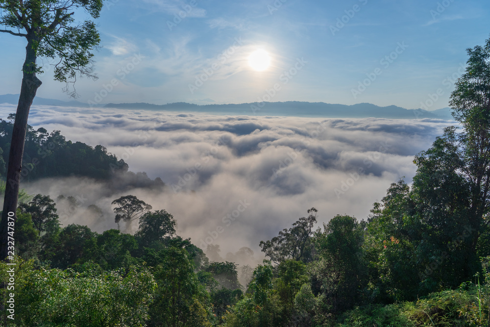 View of Fog covered the mountain in Aiyoeweng District, Southern Thailand, with trees.