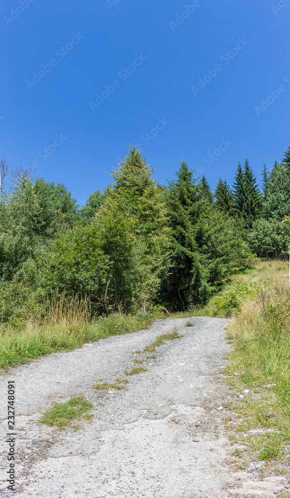 Landscape in Rhodopes