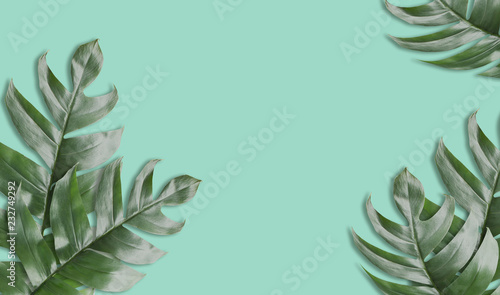 Green tropical leafs fram with vintage green tone background or green tropical leave frame concept natural background, Original dimensions 6408 x 3780 Pixels