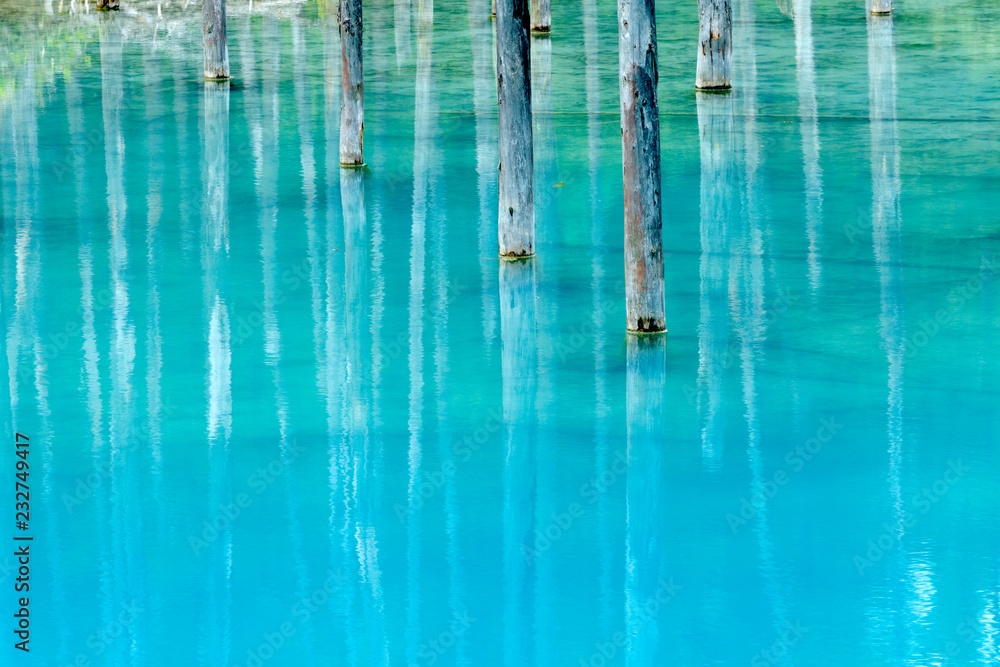 北海道　夏の青い池
