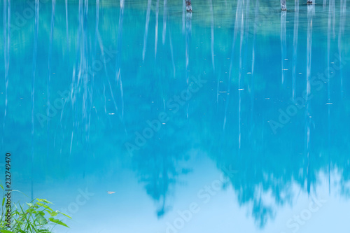 北海道 夏の青い池