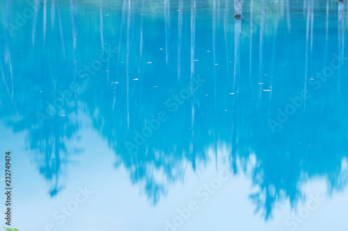 北海道 夏の青い池