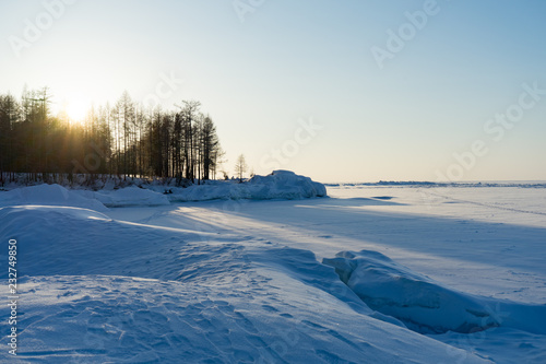 winter landscape with trees and snow