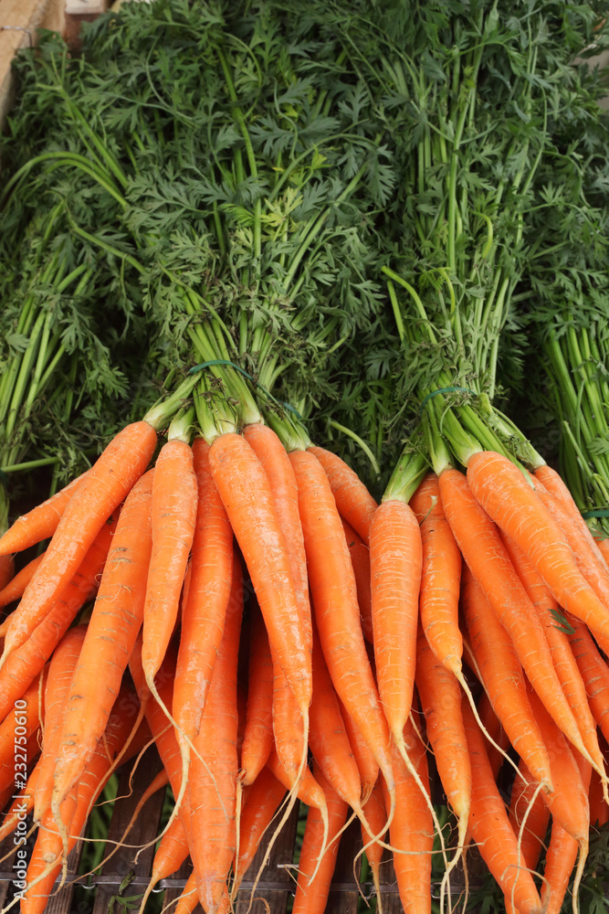 Carrots in the market