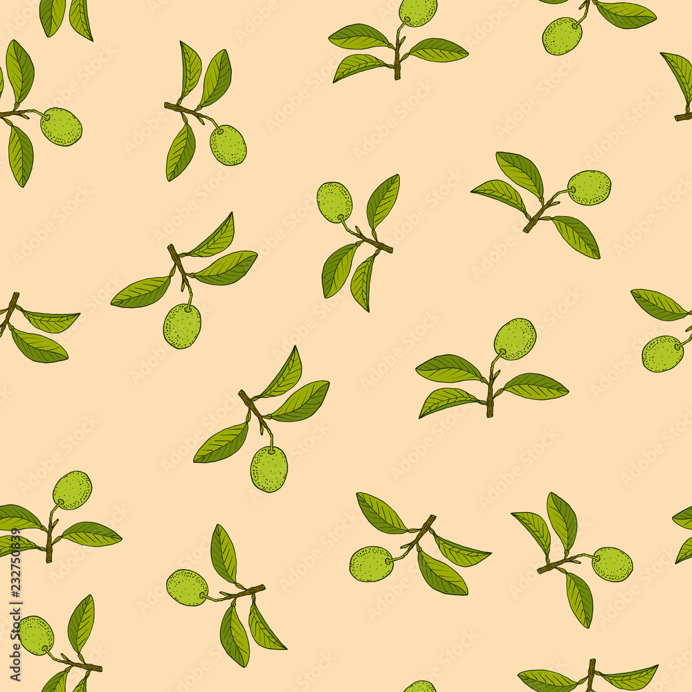 Citrus lime branch seamless pattern Citrus lime branch seamless pattern
