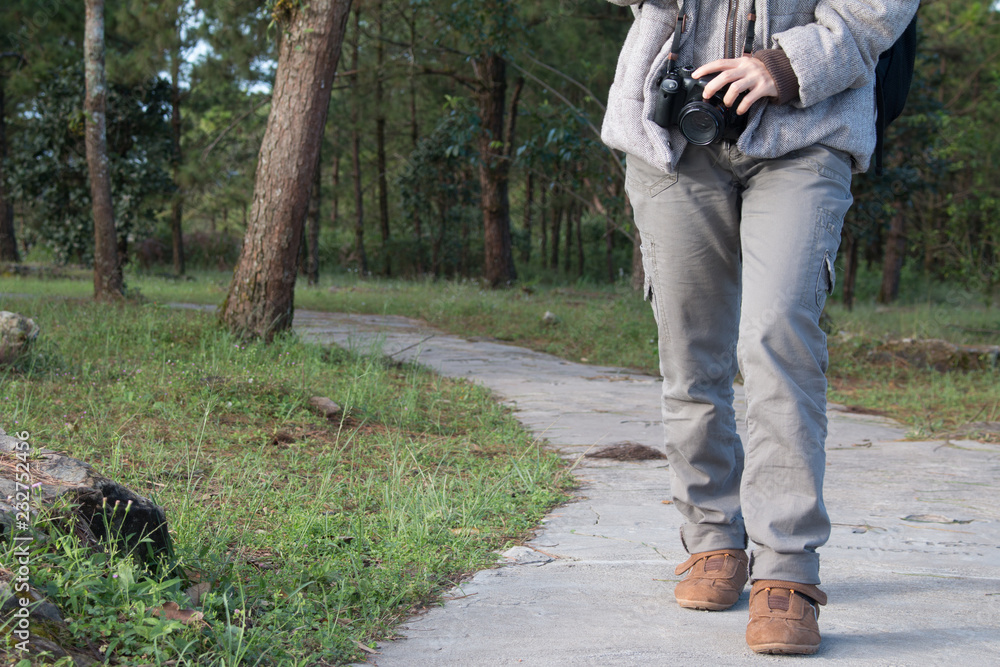 Fototapeta premium Garden Walkway
