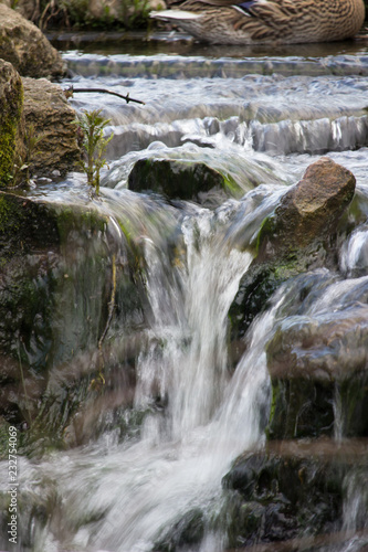 Small waterfall over stones in wooded area in zoo