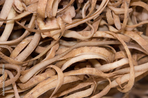 Clump of freshly peeled potato peels