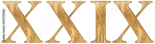 Roman numeral XXIX, novem et viginti, 29, twenty nine, isolated on white background, 3d render photo