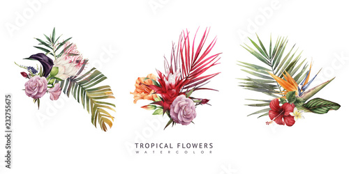 Bouquet with tropical flowers, can be used as greeting card, invitation card for wedding, birthday and other holiday and summer background