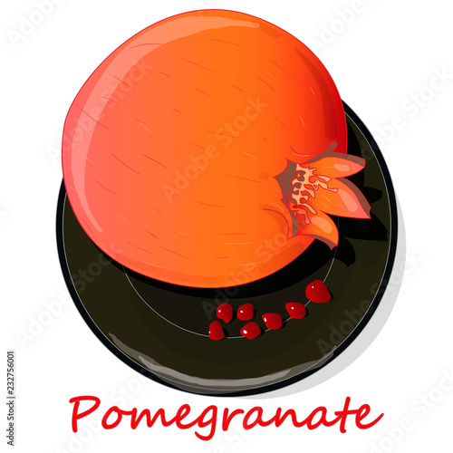Pomegranate hand drown vector illustration isolated on white background.