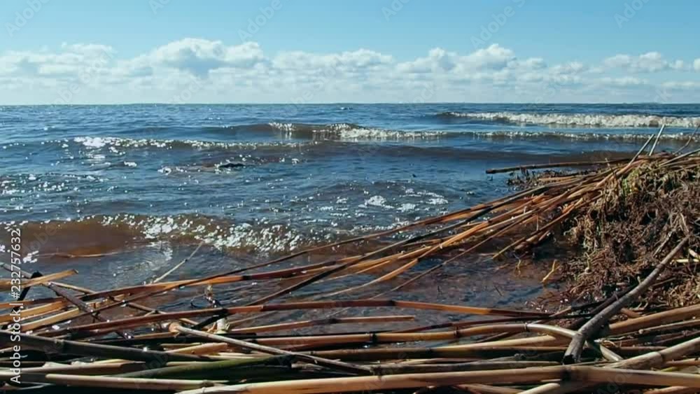 Small waves on seaboard.