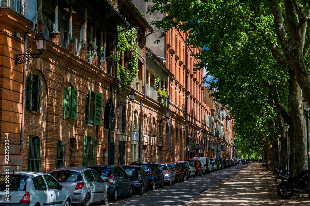 Fototapeta premium Toulouse, Haute-Garonne, Occitanie, France.
