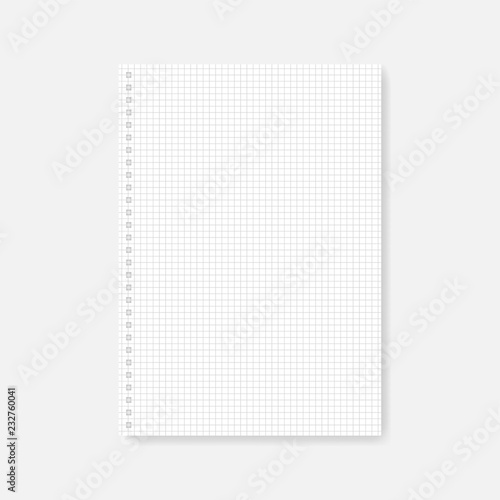 Square hole punched A4 white cross section paper sheet, mock-up